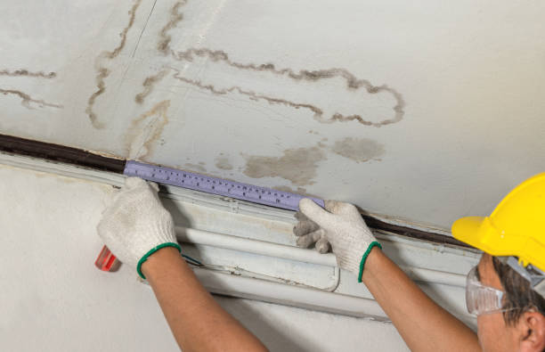 Reliable Water Damage Repair contractor in Tad, WV by Hirex Water Damage